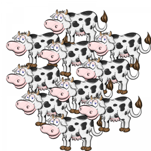 sensetime, spremljanje podatkov celotne črede krav
